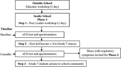 Feasibility of a Peer-Led Asthma and Smoking Prevention Project in Australian Schools with High Indigenous Youth